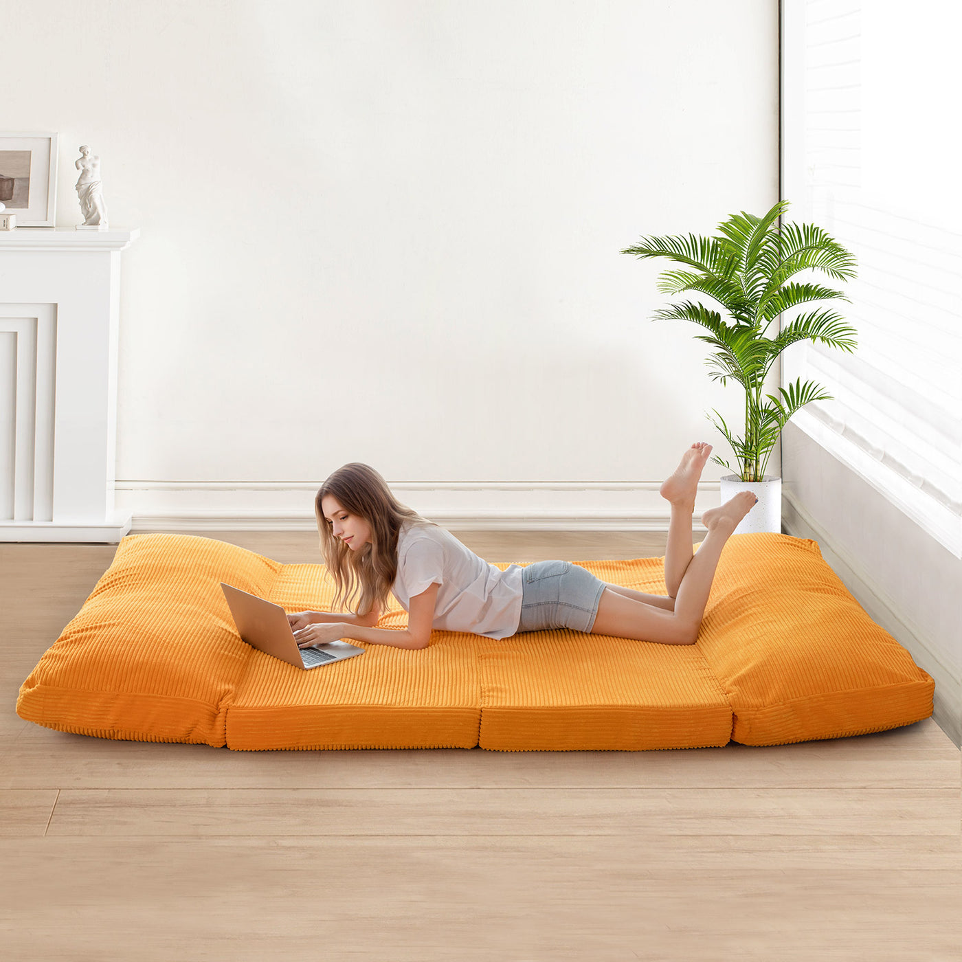 Folding Floor Sofa Bed